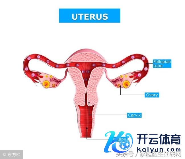 子宫肌瘤“偏疼”这4类女性，它是若何产生的呢?