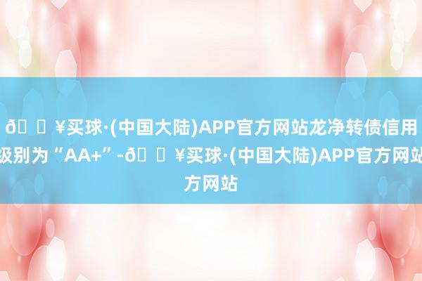 🔥买球·(中国大陆)APP官方网站龙净转债信用级别为“AA+”-🔥买球·(中国大陆)APP官方网站