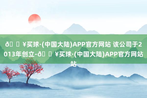 🔥买球·(中国大陆)APP官方网站 该公司于2013年创立-🔥买球·(中国大陆)APP官方网站