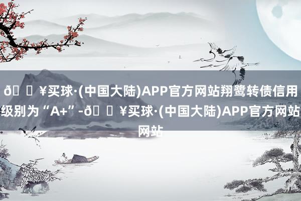 🔥买球·(中国大陆)APP官方网站翔鹭转债信用级别为“A+”-🔥买球·(中国大陆)APP官方网站