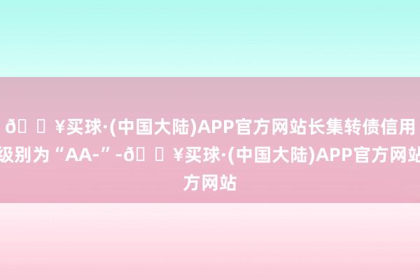 🔥买球·(中国大陆)APP官方网站长集转债信用级别为“AA-”-🔥买球·(中国大陆)APP官方网站