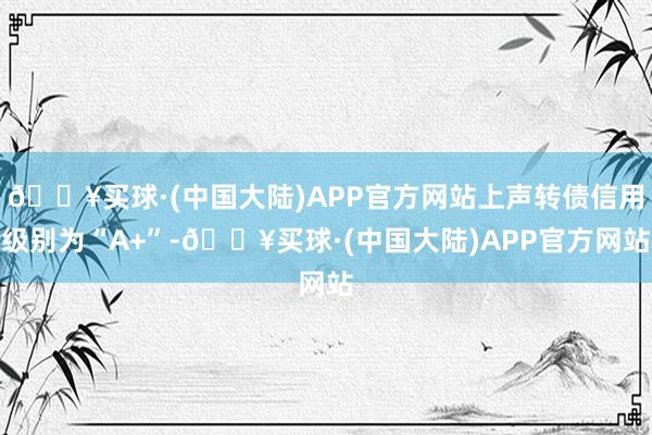 🔥买球·(中国大陆)APP官方网站上声转债信用级别为“A+”-🔥买球·(中国大陆)APP官方网站