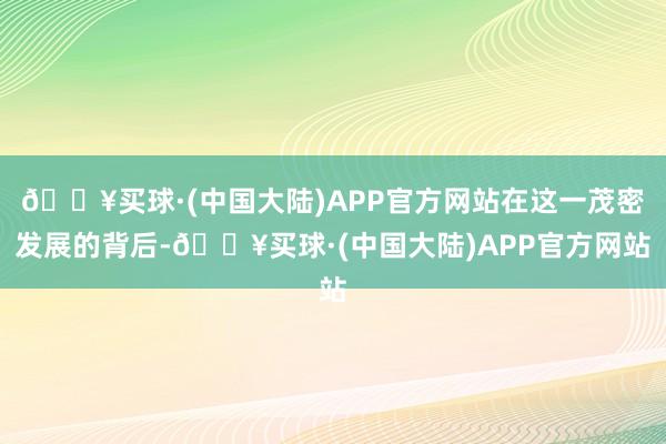 🔥买球·(中国大陆)APP官方网站在这一茂密发展的背后-🔥买球·(中国大陆)APP官方网站