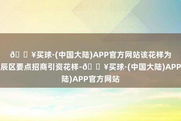 🔥买球·(中国大陆)APP官方网站　　该花样为天津市北辰区要点招商引资花样-🔥买球·(中国大陆)APP官方网站