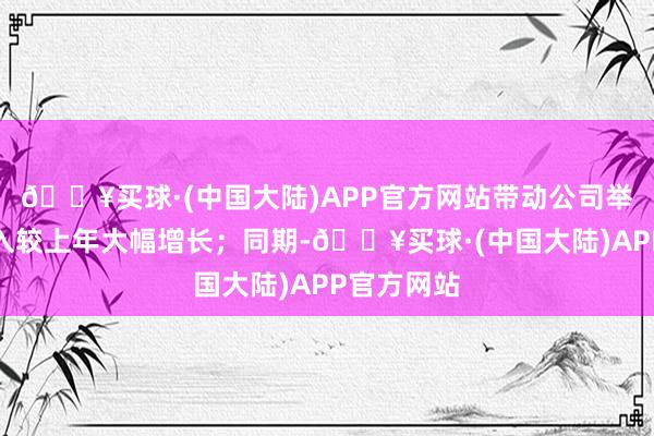 🔥买球·(中国大陆)APP官方网站带动公司举座销售收入较上年大幅增长；同期-🔥买球·(中国大陆)APP官方网站