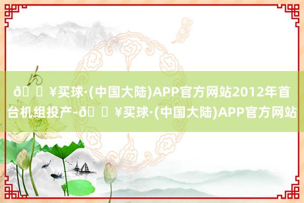 🔥买球·(中国大陆)APP官方网站2012年首台机组投产-🔥买球·(中国大陆)APP官方网站